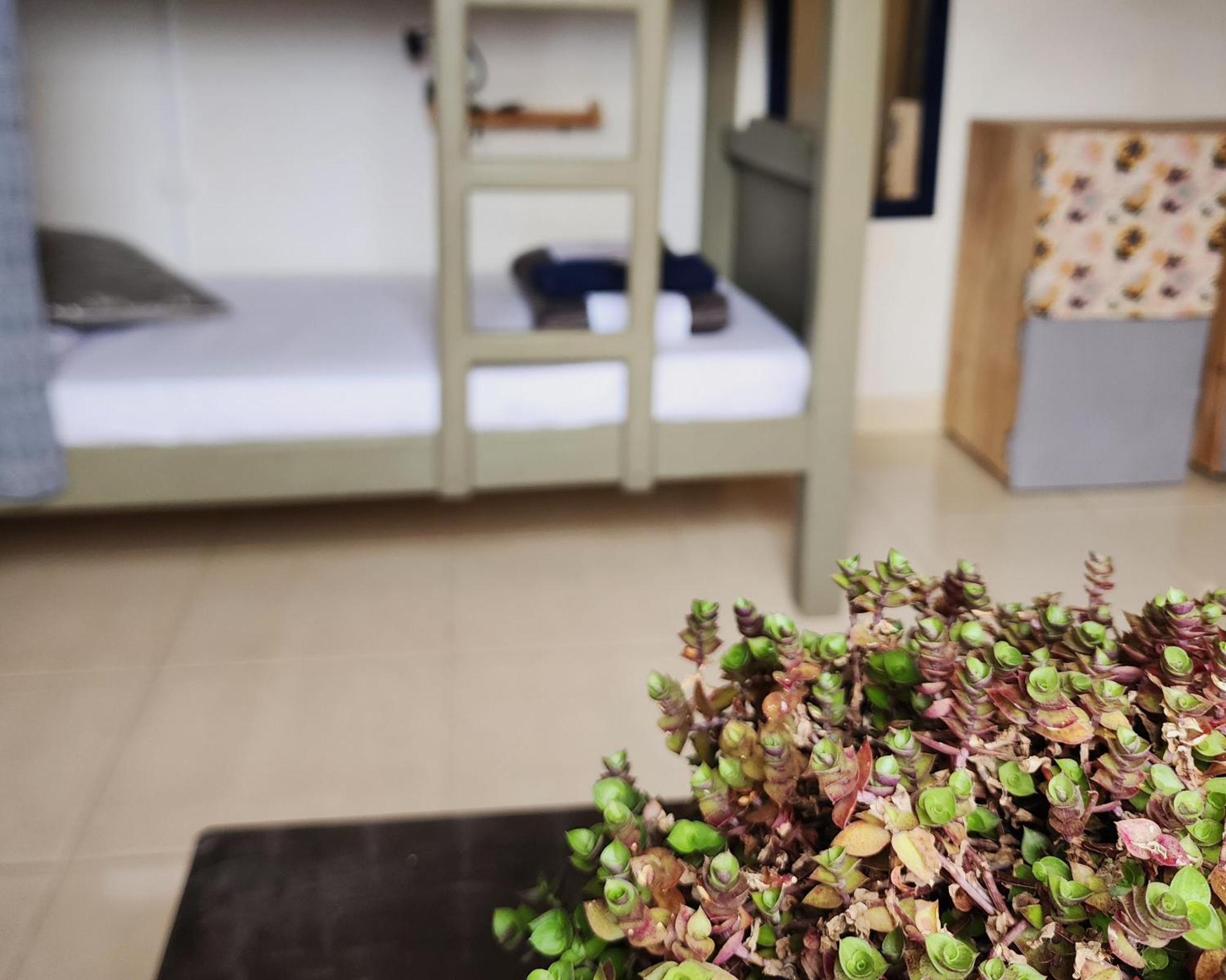 Casa Kayam Art Hostel Coliving Coworking Guatapé Chambre photo