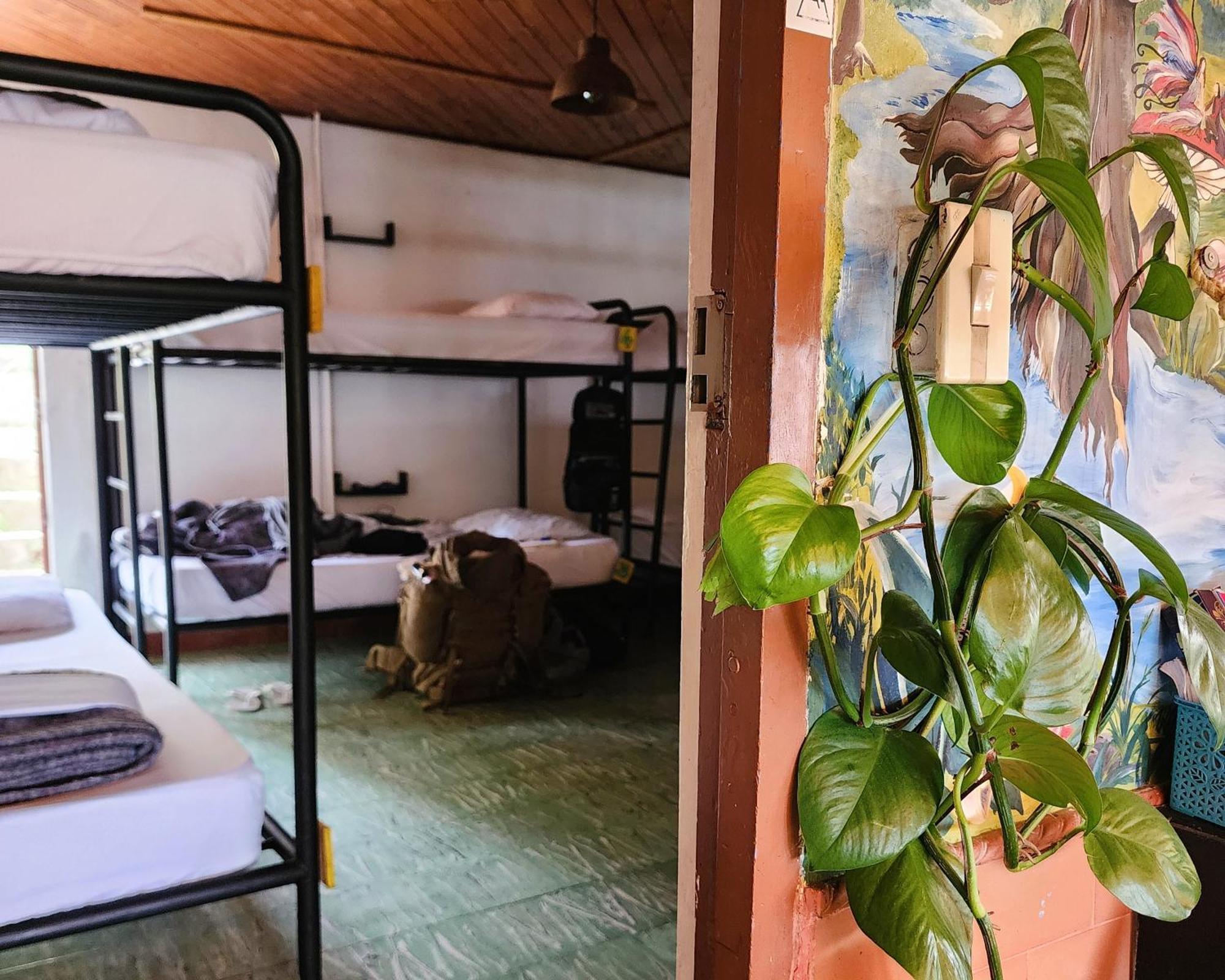 Casa Kayam Art Hostel Coliving Coworking Guatapé Extérieur photo